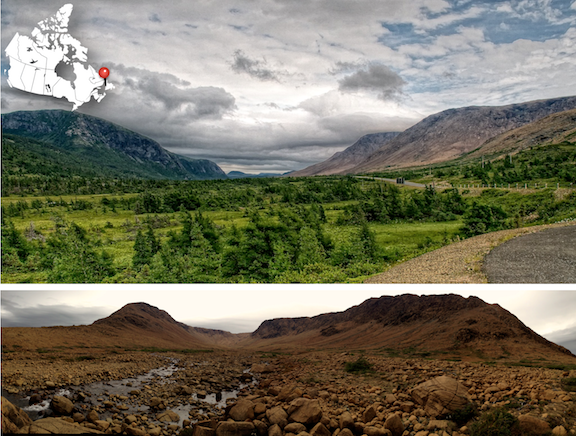 The red rocks of the Tablelands in Gros Morne National Park are a sample of Earth's mantle. Top: The red rocks of the Tablelands are on the right, and stand in contrast with the green surroundings. Bottom: A closer view of Tablelands terrain, showing rocks weathered red, and a near absence of plant life. _Source: Top photograph- Leos Kral (2008) CC BY-NC-SA 2.0 [view source](https://flic.kr/p/6J9p2G); Bottom photograph: Tara Joyce (2013) CC BY-SA 2.0 [view source](https://flic.kr/p/ghdf6j). Click the image for more attributions._