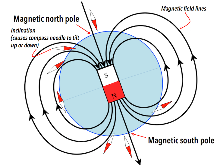 Earth's magnetic field depicted as the field of a bar magnet coinciding with the core. The south pole of the magnet points to Earth’s magnetic north pole. The red and white compass needles represent the orientation of the magnetic field at various locations on Earth’s surface. _Source: Karla Panchuk (2018) CC BY-SA 4.0, modified after Steven Earle (2015) CC BY-SA 4.0 [view source](https://opentextbc.ca/geology/wp-content/uploads/sites/110/2015/07/image035.png), and T. Stein (2008) CC BY-SA 3.0 [view source](https://commons.wikimedia.org/wiki/File:Earths_Magnetic_Field_Confusion.svg)_
