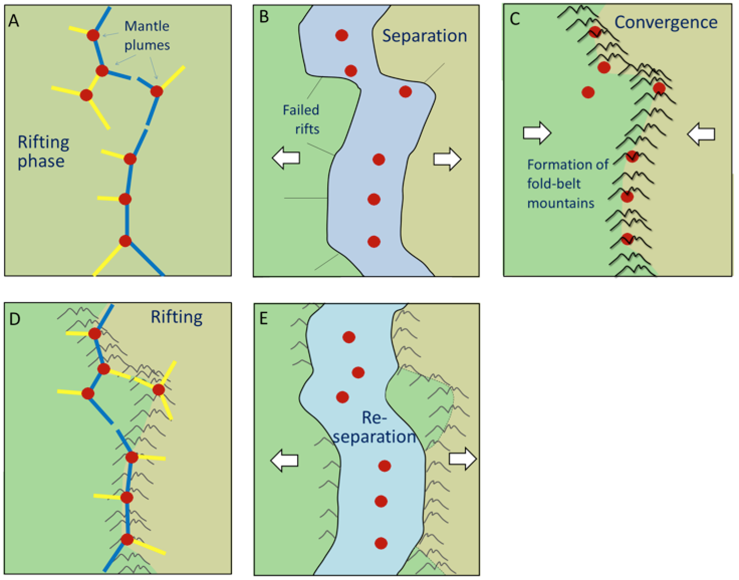 A scenario for the Wilson cycle. The cycle starts with continental rifting above a series of mantle plumes (red dots, A). The continents separate (B), and then re-converge some time later, forming a fold-belt mountain chain. Eventually rifting is repeated, possibly because of the same set of mantle plumes (D), but this time the rift is in a different place. _Source: Steven Earle (2015) CC BY 4.0 _[_view source_](http://opentextbc.ca/geology/wp-content/uploads/sites/110/2015/07/Wilson-cycle.png)