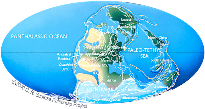 Carboniferous and Permian Karoo Glaciation in the southern hemisphere. Paleogeographic reconstruction for 306 million years ago._ Source: Cropped from C. R. Scotese, PALEOMAP Project (www.scotese.com) [view source](http://www.scotese.com/late.htm). Click the image for terms of use._