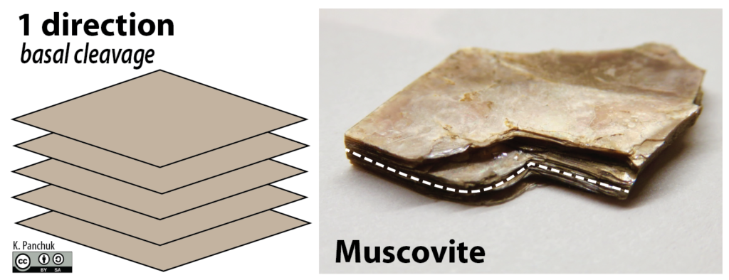 One direction of cleavage (basal cleavage). Left: Schematic of basal cleavage. Right: Muscovite showing basal cleavage. The white dashed line marks the edge of the cleavage plane. _Source: Karla Panchuk (2018) CC BY-SA 4.0. Cleavage diagram modified after M.C. Rygel (2010) CC BY-SA 3.0 [view source](https://commons.wikimedia.org/wiki/File:Mineral-cleavage.gif)_