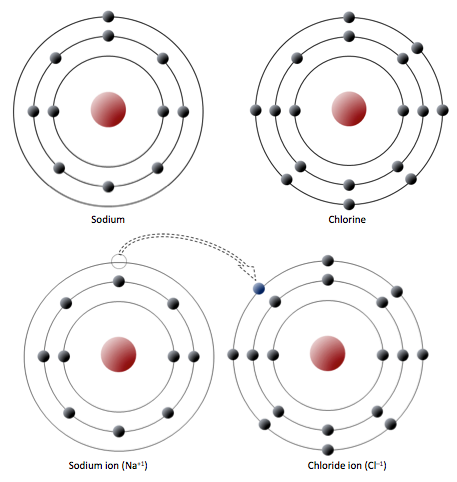 Electron configuration of sodium and chlorine atoms (top). Sodium gives up an electron to become a cation (bottom left) and chlorine accepts an electron to become an anion (bottom right). _Source: Steven Earle (2015) CC BY 4.0 [view source](https://opentextbc.ca/geology/wp-content/uploads/sites/110/2015/06/NaCl.png)_