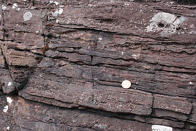 Ripples preserved in 1.2 Ga old sandstone. Notice the wavy lines above the coin. This is a side view of the ripples. _Source: Anne Burgess (2008) CC BY-SA 2.0 [view source](http://www.geograph.org.uk/photo/831746)_