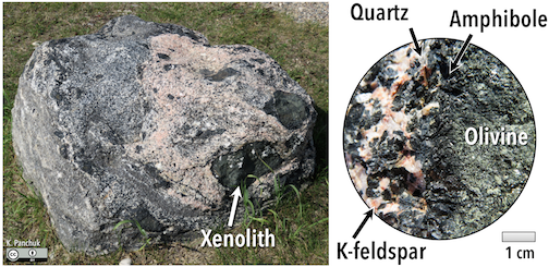 Boulder with olivine-rich xenoliths surrounded by silica-rich rock. Black rims on the xenoliths are where the olivine has reacted with the silica-rich melt, forming amphibole. Right- Enlarged view of the amphibole reaction rim. _Source: Karla Panchuk (2018) CC BY 4.0_