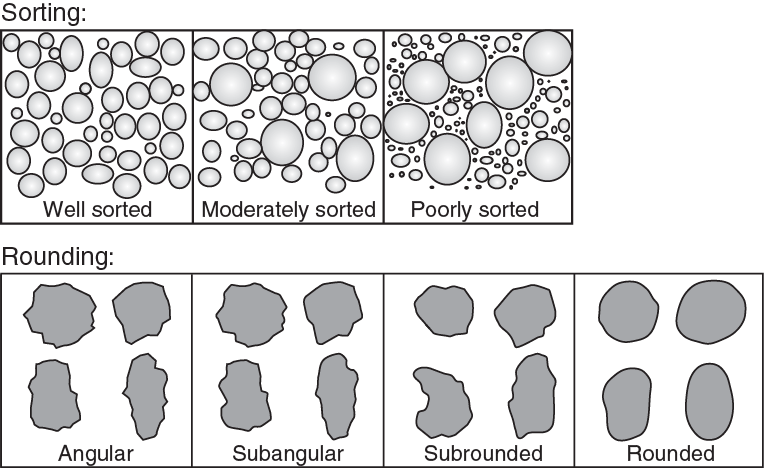 Top: Sorting of grains, ranging from well sorted where the grains are similar in size, to poorly sorted, where the grains vary greatly in size. Bottom: Rounding refers to how smooth or rough the edges of a clast are. Clasts with sharp edges and corners are angular. Clasts with smooth surfaces are rounded. Clasts that fall in between are sub-angular or sub-rounded. Source: Reagan et al. (2015) CC BY 3.0 [view source](http://publications.iodp.org/proceedings/352/102/figures/02_F05.png)
