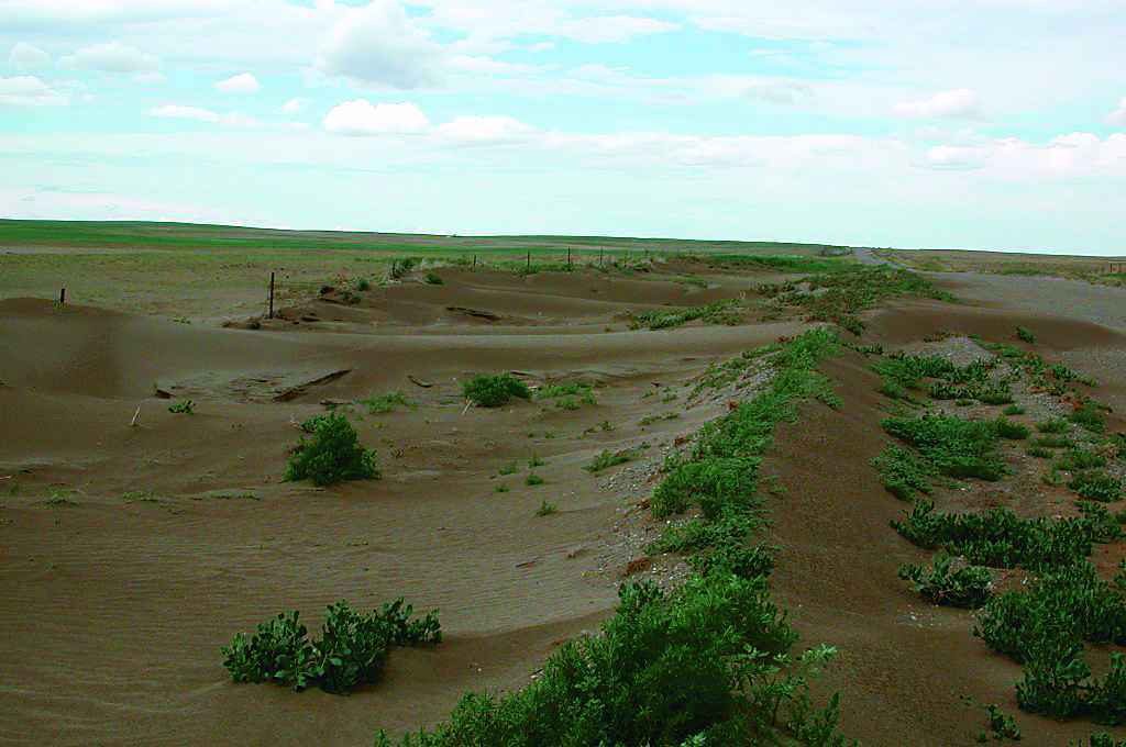 Soil erosion by wind in Alberta. _Source:Alberta Agriculture and Rural Development. Click the image for source information and terms of use._