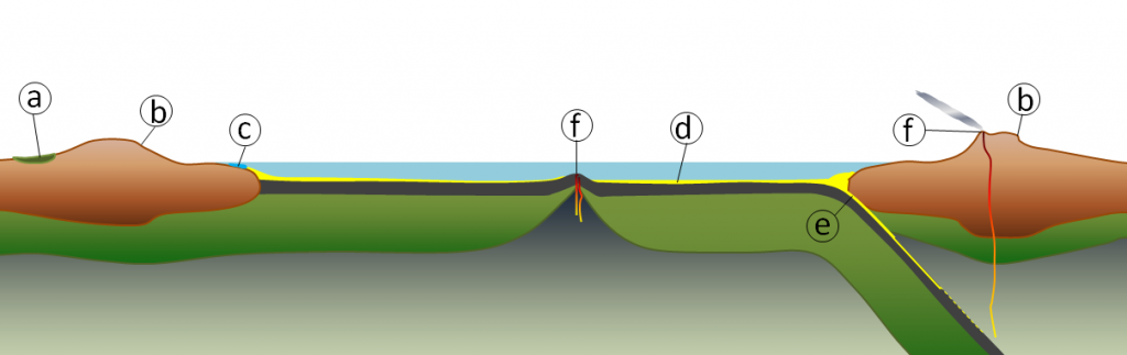 The geological component of the carbon cycle includes: (a) organic carbon in peat, coal and permafrost, (b) weathering of silicate minerals converts atmospheric carbon dioxide to dissolved bicarbonate, (c) marine organisms convert dissolved carbon to calcium carbonate, (d) carbon compounds are stored in sediments, (e) carbon-bearing sediments are transferred to longer-term storage in the mantle, and (f) carbon dioxide is released back to atmosphere during volcanic eruptions. _Source: Steven Earle (2016) CC BY 4.0 [view source](https://opentextbc.ca/geology/wp-content/uploads/sites/110/2015/07/image057.png)_