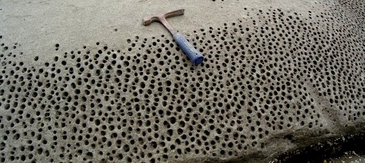 Tafoni (Honeycomb weathering) in sandstone on Gabriola Island, British Columbia. The holes are caused by crystallization of salt within rock pores. _Source: Steven Earle (2015) CC BY 4.0 [view source](https://opentextbc.ca/geology/wp-content/uploads/sites/110/2015/07/image013.jpg)_