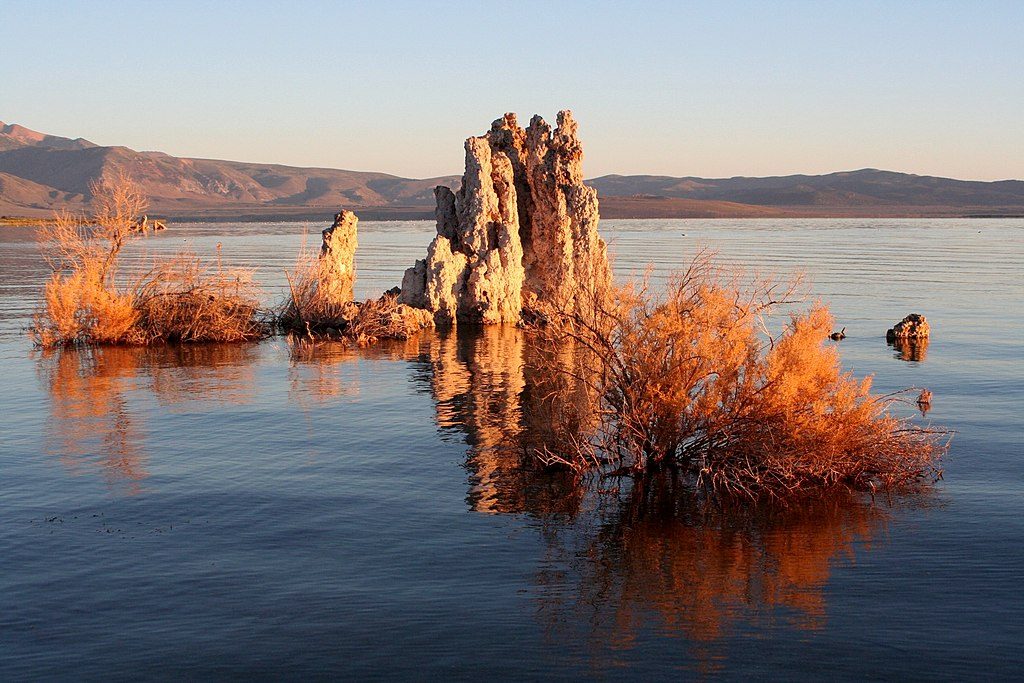 Tufa towers (made of calcium carbonate) in Mono Lake, California. Evaporation keeps the concentration of ions in the lake very high, allowing the calcium carbonate to precipitate. _Source: Brocken Inaglory (2006) CC BY-SA 3.0 [view source](https://commons.wikimedia.org/wiki/File:Mono_lake_tufa.JPG)_