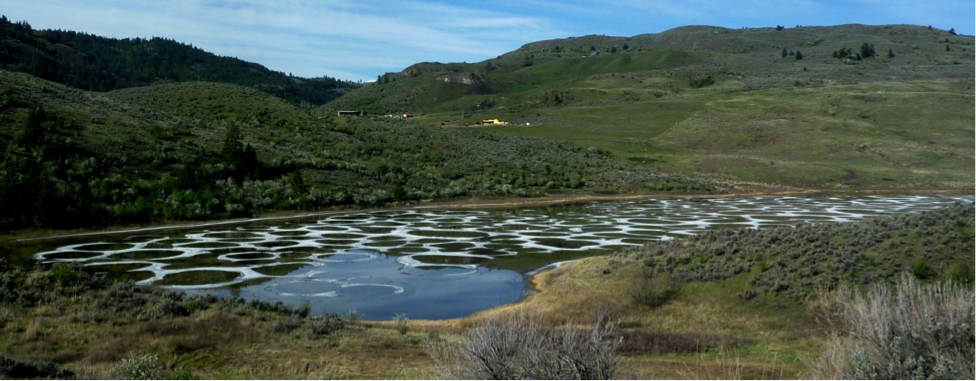 Spotted Lake, near Osoyoos, BC. This photo was taken in May when the water was relatively fresh because of winter rains. By the end of the summer the surface of this lake is typically fully encrusted with salt deposits. _Source: Steven Earle (2015) CC BY 4.0 [view source](http://opentextbc.ca/geology/wp-content/uploads/sites/110/2015/06/Spotted-Lake.png)_