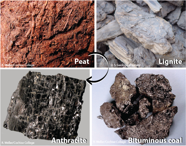 The formation of coal begins when plant matter is prevented from decaying by accumulating in low-oxygen, acidic water. A layer of peat forms. Heating and compression of peat form lignite, bituminous coal, and finally anthracite, as pressure and temperature increases. _Source: Karla Panchuk (2017) CC BY-NC-SA 4.0. Photos by R. Weller/ Cochise College and U. S. Geological Survey. Click the image for more attributions and terms of use._