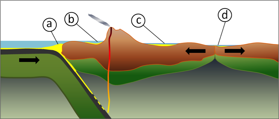 Some types of tectonically produced basins: (a) trench basin, (b) forearc basin, (c) foreland basin, and (d) rift basin. _Source: Steven Earle (2015) CC BY 4.0 [view source](http://opentextbc.ca/geology/wp-content/uploads/sites/110/2015/06/basins.png)_