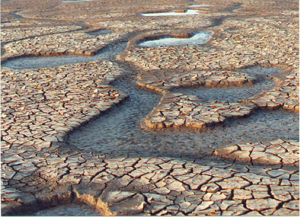 Mud cracks in a tidal flat in England. _Source: Alan Parkinson (2000) CC BY-SA 2.0 [view source](https://commons.wikimedia.org/wiki/File:Dried_mud_creeks_on_the_shores_of_the_Wash_-_geograph.org.uk_-_10669.jpg)_