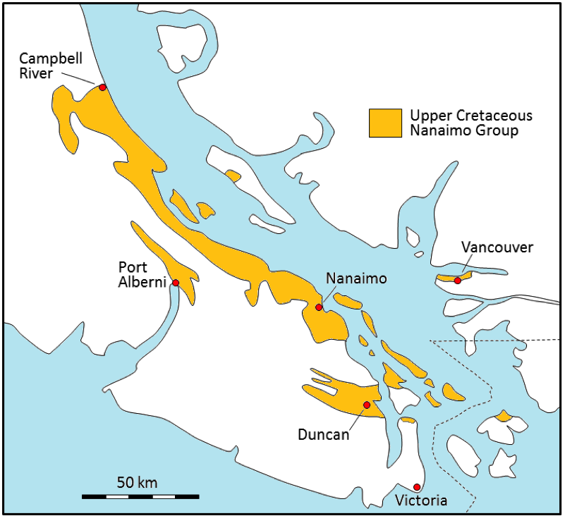 The distribution of the Upper Cretaceous Nanaimo Group rocks on Vancouver Island, the Gulf Islands, and in the Vancouver area. _Source: Steven Earle (2015) CC BY 4.0 [view source](https://opentextbc.ca/geology/wp-content/uploads/sites/110/2015/06/Upper-Cretaceous-Nanaimo-Group-rocks.png), modified after Mustard (1994)._