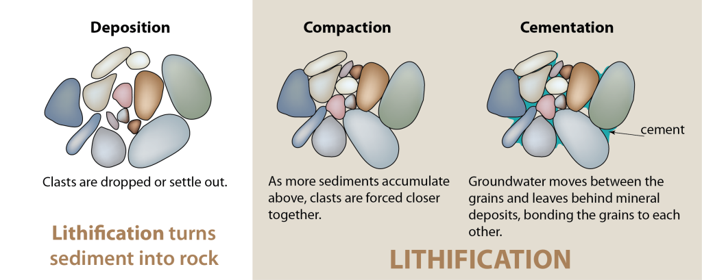 Lithification turns sediments into solid rock. Lithification involves the compaction of sediments and then the cementation of grains by minerals that precipitate from groundwater in the spaces between these grains. _Source: Karla Panchuk (2016) CC BY 4.0_
