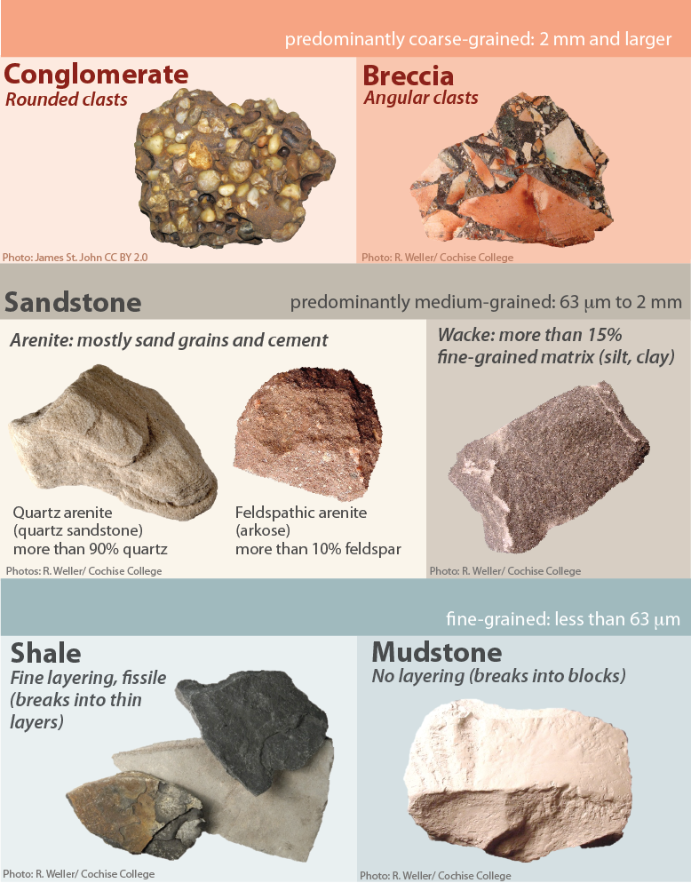 Types of clastic sedimentary rocks. _Source: Karla Panchuk (2018) CC BY-NC-SA 4.0, Photos by James St. John and R. Weller/ Cochise College. Click the image for more attributions._