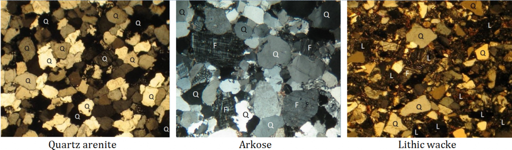 Photos of thin sections of three types of sandstone. Some of the minerals are labelled: Q=quartz, F=feldspar and L= lithic (rock fragments). The quartz arenite and arkose have relatively little silt/clay matrix, while the lithic wacke has abundant matrix. _Source: Steven Earle (2016) CC BY 4.0 [view source](https://opentextbc.ca/physicalgeologyearle/wp-content/uploads/sites/145/2016/06/sandstones-2.png)_