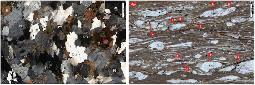 Rocks from the Western Carpathians mountain range without deformation (left) and after deformation (right). Scale bar: 1 mm. Left- An undeformed granitic rock containing the mica mineral biotite (Bt), plagioclase feldspar (Pl), potassium feldspar (Kfs), and quartz (Qtz). Right- A metamorphic rock (mylonite) resulting from extreme deformation of granitic rocks. Quartz crystals have been flattened and deformed. The other minerals have been crushed and deformed into a fine-grained matrix (Mtx). _Source: Farkašovský et al. (2016) CC BY-NC-ND. Click the image to view the original figure captions and access the full text._
