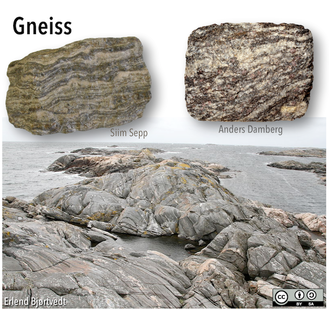 Gneiss, a coarse-grained, high grade metamorphic rock, is characterized by colour bands. Top- Hand samples showing that colour bands can be continuous (left) or less so (right). Bottom- Gneiss in outcrop at Belteviga Bay, Norway. Notice the light and dark stripes on the rock. _Source: Karla Panchuk (2018) CC BY-SA 4.0. Click the image for more attributions._