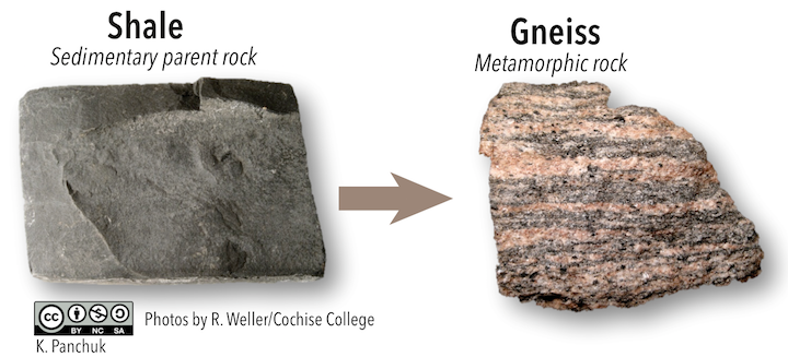 Shale is the parent rock of gneiss (pronounced "nice"). These rocks look very different, but gneiss can form when the atoms contained within the shale are re-arranged into new mineral structures. _Source: Karla Panchuk (2018) CC BY-NC-SA. Photos by R. Weller/Cochise College. Click the image for photo sources._