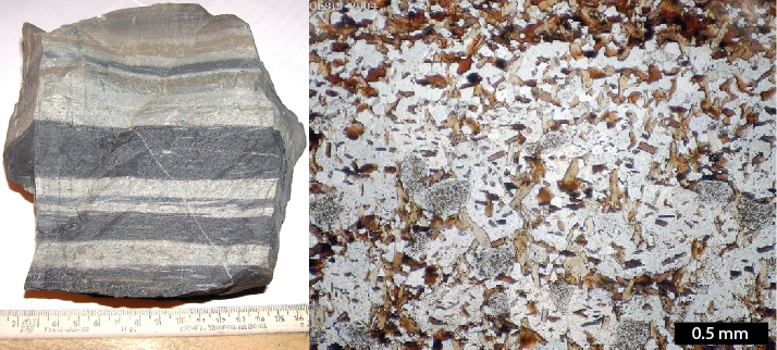 Hornfels, a non-foliated metamorphic rock formed from a fine-grained protolith. Left- Hornfels from the Novosibirsk region of Russia from a sedimentary protolith. Dark and light bands preserve the bedding of the original sedimentary rock. The rock has been recrystallized during contact metamorphism and does not display foliation. (scale in cm). Right- Hornfels in thin section from a sedimentary protolith. Note that the brown mica crystals are not aligned. The dark band at the top reflects the layering within the sedimentary parent rock, similar to the way those layers are preserved in the sample on the left. _Source: Left- Fedor (2006) Public Domain [view source](https://commons.wikimedia.org/wiki/File:Hornfels.jpg); Right- D.J. Waters, University of Oxford [view source](https://www.earth.ox.ac.uk/~oesis/micro/medium/hornfels3_pm20-24.jpg)/ [view context](https://www.earth.ox.ac.uk/~oesis/micro/index.html). Click the image for terms of use._