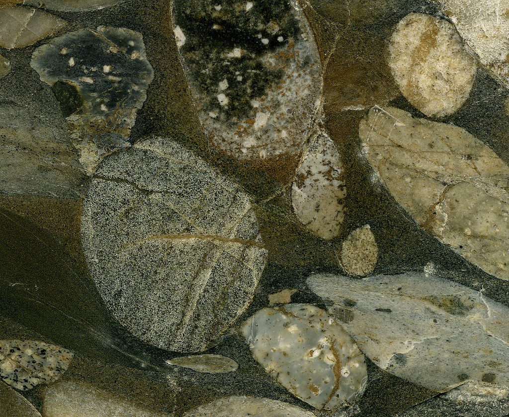 Metaconglomerate formed through burial metamorphism. The pebbles in this sample are not aligned and elongated as in the metaconglomerate in Figure \@ref(fig:figure-10-10) _Source: James St. John (2014) CC BY 2.0 [view source](https://flic.kr/p/ox1bRy)_