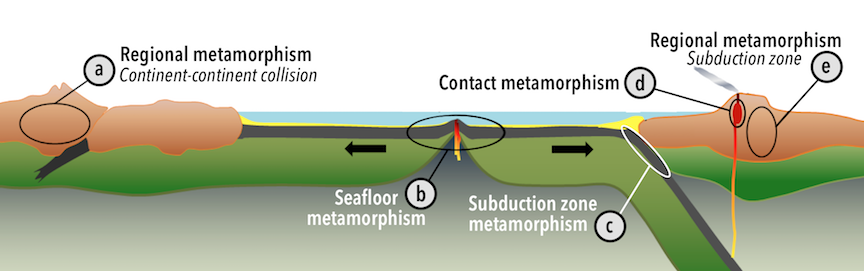 Environments of metamorphism in the context of plate tectonics: (a) regional metamorphism related to mountain building at a continent-continent convergent boundary, (b) seafloor (hydrothermal) metamorphism of oceanic crust in the area on either side of a spreading ridge, (c) metamorphism of oceanic crustal rocks within a subduction zone, (d) contact metamorphism adjacent to a magma body at a high level in the crust, and (e) regional metamorphism related to mountain building at a convergent boundary. _Source: Karla Panchuk (2018) CC BY 4.0, modified after Steven Earle (2015) CC BY 4.0 [view source](https://opentextbc.ca/geology/wp-content/uploads/sites/110/2015/07/image019.png)_