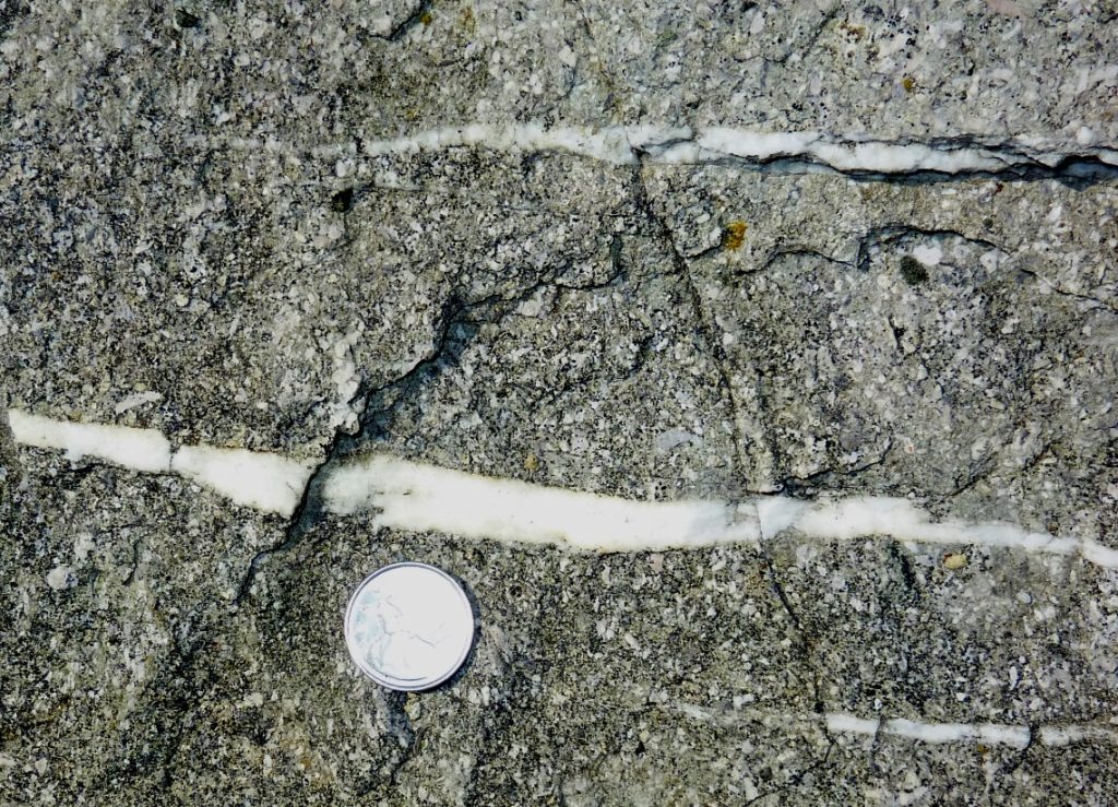 White veins of calcite in limestone of the Comox Formation, Nanaimo BC. Quarter for scale. _Source: Steven Earle (2016) CC BY 4.0 [view source](https://opentextbc.ca/physicalgeologyearle/wp-content/uploads/sites/145/2016/03/calcite-vein-2.jpg)_