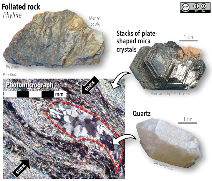 A foliated metamorphic rock called phyllite (upper left). The satin sheen comes from the alignment of minerals. Lower left- a view of the same kind of rock under a microscope showing mica crystals (colourful under polarized light) aligned in bands. The region outlined in a red dashed line shows a lens of quartz crystals that do not display alignment. Upper right- stacks of platy mica crystals. Lower right- a blocky quartz crystal. _Source: Karla Panchuk (2018) CC BY-SA 4.0. Click the image for photo sources._