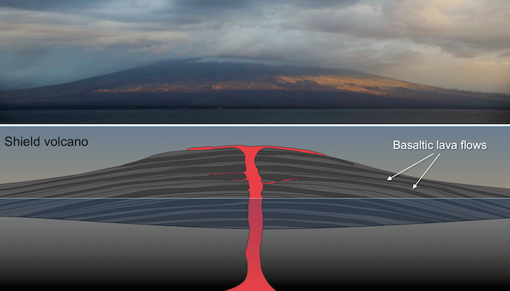 Shield volcano. Top: The Sierra Negra volcano in the Galápagos Islands exhibits the low, rounded shape characteristic of shield volcanoes. Bottom: Diagram of a shield volcano island, showing the build up of basaltic lava flows. _Sources: Top- BRJ INC. (2012) CC BY-NC-ND 2.0 [view source](https://flic.kr/p/c8mAwY). Bottom- Karla Panchuk (2017) CC BY 4.0 _