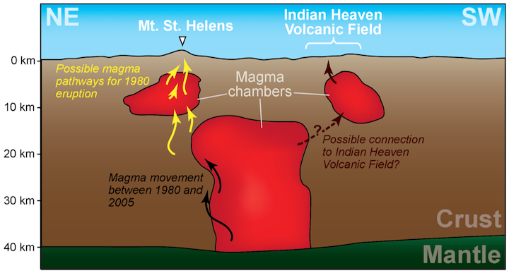 Magma chambers beneath Mt. St. Helens and Indian Heaven Volcanic Field, sketched from [iMUSH](http://imush.org/) (Imaging Magma Under St. Helens) project results. In a 24 hour period after the May 18, 1980 eruption, earthquakes in and around the smaller magma chamber suggested migration of magma (yellow arrows). Earthquakes recorded between 1980 and 2005 suggest migration of magma within a larger chamber that extends to the mantle (black arrows). The larger magma chamber might feed another smaller chamber beneath the Indian Heaven Volcanic Field. _Source: Karla Panchuk (2017) CC BY 4.0, based on Kiser et al. (2016), Figure 4b