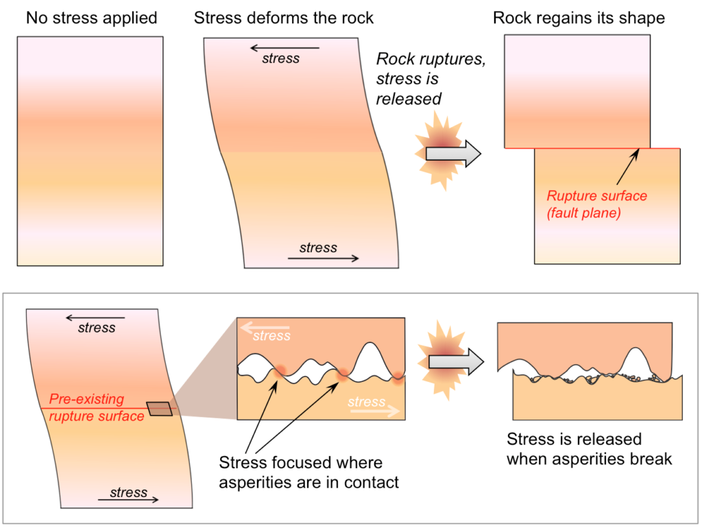 Elastic deformation, rupture, and elastic rebound. Top: Stress applied to a rock causes it to deform by stretching. When the stress becomes too much for the rock, it ruptures, forming a fault. The rock snaps back to its original shape in a process called elastic rebound. Bottom: On an existing fault, asperities keep rocks on either side of the fault from sliding. Stress deforms the rock until the asperities break, releasing the stress, and causing the rocks to spring back to their original shape. _Source: Karla Panchuk (2017) CC BY 4.0. Modified after Steven Earle (2015) CC BY 4.0 [view original](https://opentextbc.ca/geology/wp-content/uploads/sites/110/2015/07/elastic-deformation-and-rupture.png)._