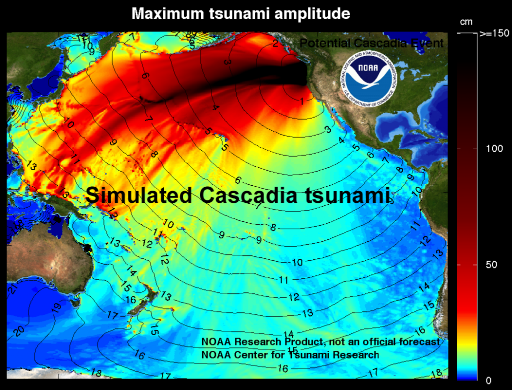 Computer simulation of the tsunami from the 1700 M9 Cascadia earthquake. Colours show open-ocean wave heights. Contours show travel time in hours. Tsunami wave heights increase as the tsunami reached the western margin of the Pacific ocean. _Source: NOAA/PMEL/Center for Tsunami Research (2011) Public Domain [view source](https://nctr.pmel.noaa.gov/cascadia_simulated/images/CascadiaL1annotated.png) / [view context](https://nctr.pmel.noaa.gov/cascadia_simulated/index.html)_
