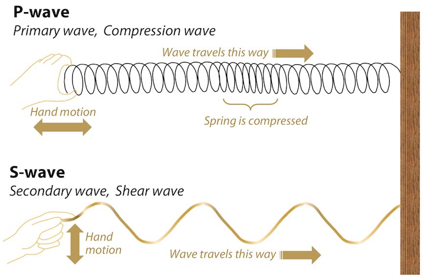 Seismic waves simulated using a spring and rope attached to a fixed surface. Top: P-waves travel as pulses of compression. Bottom: S-waves move particles at right angles to the direction of motion. _Source: Karla Panchuk (2018) CC BY 4.0 modified after Steven Earle (2015) CC BY 4.0 [view original](https://opentextbc.ca/geology/wp-content/uploads/sites/110/2015/07/image0091.png)._