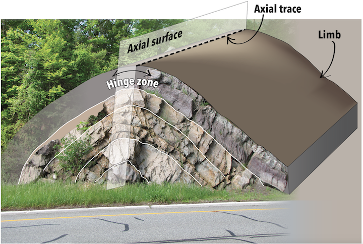 The parts of a fold. A fold consists of limbs that meet at the hinge zone. An axial surface bisects the fold along the hinge zone. The axial trace is where the axial surface intersects another surface, such as the top of a bed. _Source: Karla Panchuk (2018) CC BY-NC-SA 4.0. Photo: Ron Schott (2009) CC BY-NC-SA 2.0 [view source](https://flic.kr/p/7NNKZp)_
