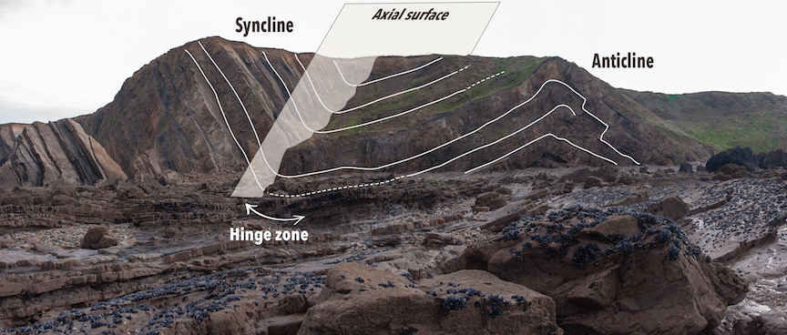 An asymmetrical syncline linked to an anticline on a beach in Cornwall, United Kingdom. The beds slope toward the hinge at different angles on either side of the axial surface. _Source: Karla Panchuk (2018) CC BY-NC-SA 4.0. Photo: Harry Soar (2014) CC BY-NC-SA 2.0 [view source](https://flic.kr/p/nBP8JV)_