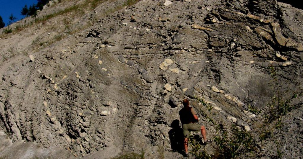 Folds in the Rocky Mountains near Golden, British Columbia. _Source: Steven Earle (2015) CC BY 4.0 [view source](https://opentextbc.ca/geology/wp-content/uploads/sites/110/2015/08/sedimentary-rocks.jpg)_