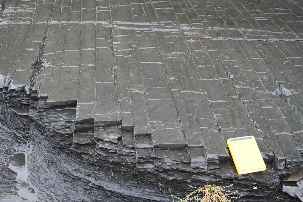 Joint sets have broken these siltstone and shale beds into long rectangular planks. _Source: Michael C. Rygel (2008) CC BY-SA 3.0 [view source](https://commons.wikimedia.org/wiki/File:Joints_1.jpg)_