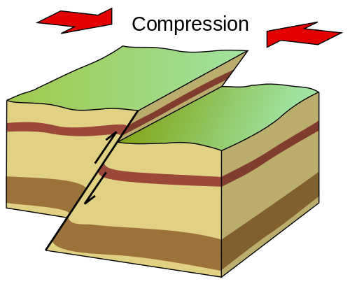 Dip slip faults. Normal faults are caused by tension, while reverse faults happen during compression. _Source: Karla Panchuk (2018) CC BY-SA 4.0, modifed after Woudloper (2010) CC BY-SA 3.0 [view source](https://commons.wikimedia.org/wiki/File:Inverse_fault_EN-FR.svg)_