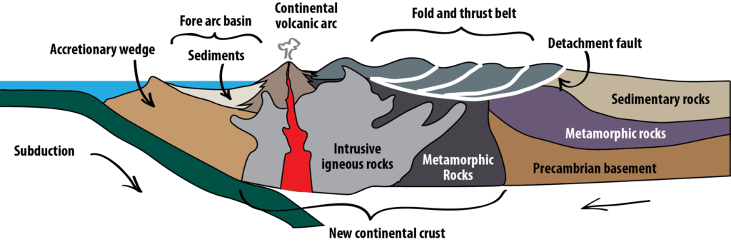 Orogeny in an ocean-continent collision zone. Mountains form from subduction zone volcanism, and from large sheets of rock that are thrust inland and folded. Materials accumulating on the leading edge of the continent in an accretionary wedge are eventually smashed onto the continent, adding to continental crust. _Source: Karla Panchuk (2018) CC BY 4.0. Modified after Ron Blakey, NAU Geology (n.d.) [view source](http://jan.ucc.nau.edu/rcb7/Sevier.jpg). Click the image for terms of use._