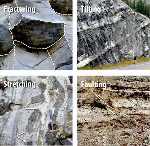 Structures resulting from deformation. Upper left- Fracturing in basalt near Whistler, British Columbia. Upper right- Tilting of sedimentary rock near Exshaw, Alberta. Lower left- Stretched limestone (light grey) and chert (dark grey) from Quadra Island, British Columbia. Lower right- Faulted shale near Cache Creek, British Columbia. Rocks above the fault moved up relative to those below. _Source: Karla Panchuk (2018) CC BY 4.0. Photographs by Steven Leslie (2015) CC BY 4.0 [view source](https://opentextbc.ca/physicalgeologyearle/wp-content/uploads/sites/145/2016/03/structures-2.png)_