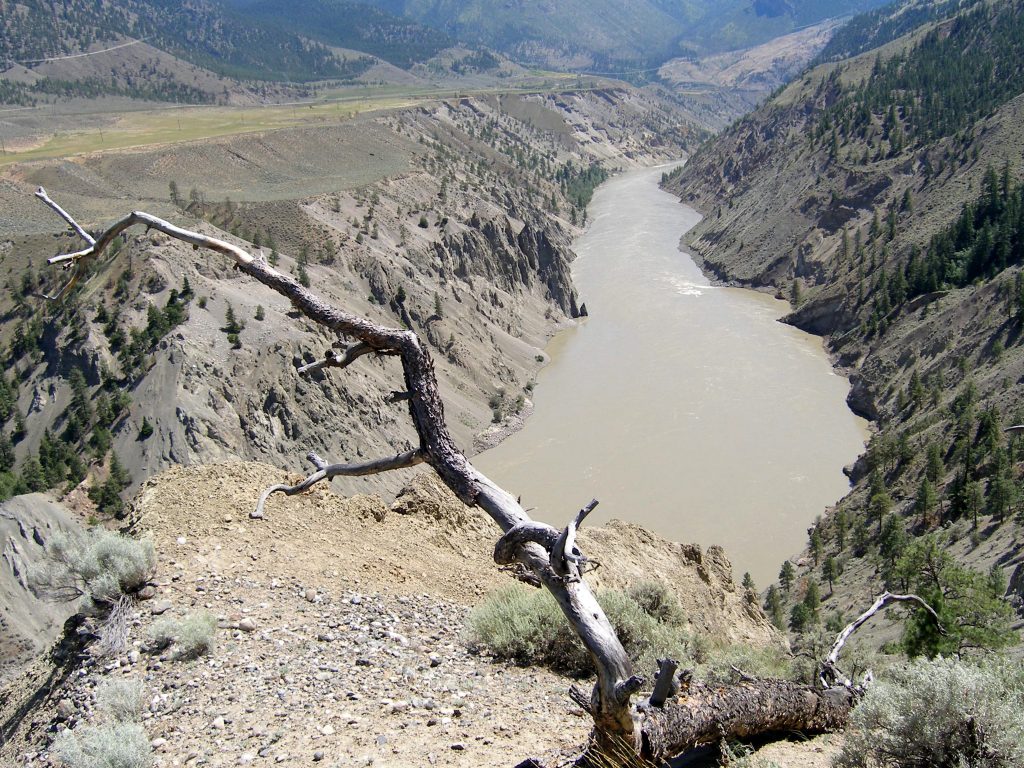 Terraces on the Fraser River north of Lillooet, BC (above the river on the left-hand side of the image). Source: Wikimedia user "China Crisis" (2007) CC BY-SA 3.0. [view source](https://en.wikipedia.org/wiki/File:FraserRiverNearLillooet.jpg)