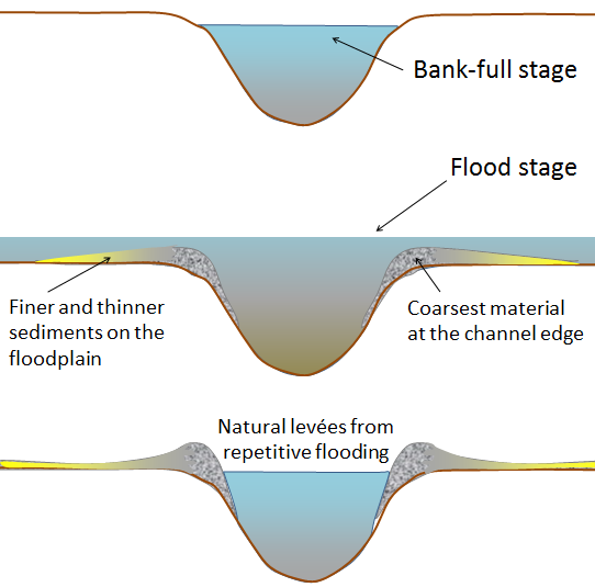 The development of natural levees during flooding of a stream. The sediments of the levee become increasingly fine away from the stream channel, and even finer sediments — clay, silt, and very fine sand — are deposited across most of the flood plain . Source: Steven Earle (2015) CC BY 4.0 [view source](https://opentextbc.ca/geology/wp-content/uploads/sites/110/2015/08/natural-lev%C3%A9es.png)