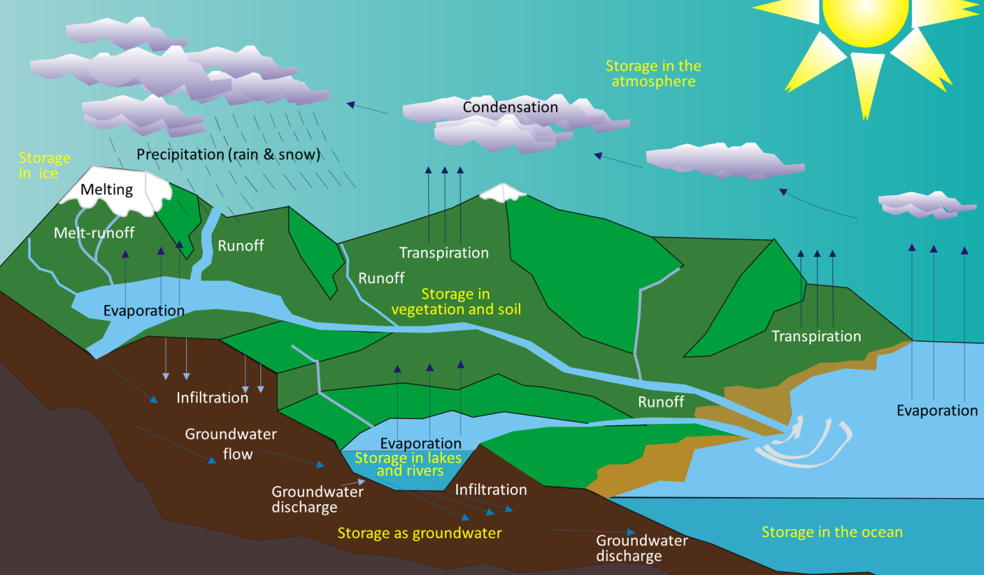 The various components of the water cycle. Black or white text indicates the movement or transfer of water from one reservoir to another. Yellow text indicates the storage of water . Source: Steven Earle (2015) CC BY-SA 3.0 [view source](https://opentextbc.ca/geology/wp-content/uploads/sites/110/2015/08/water-cycle.png) after Wikimedia user "Ingwik" (2010) CC-BY-SA 3.0. [view source](https://commons.wikimedia.org/wiki/File:Water_cycle_blank.svg)