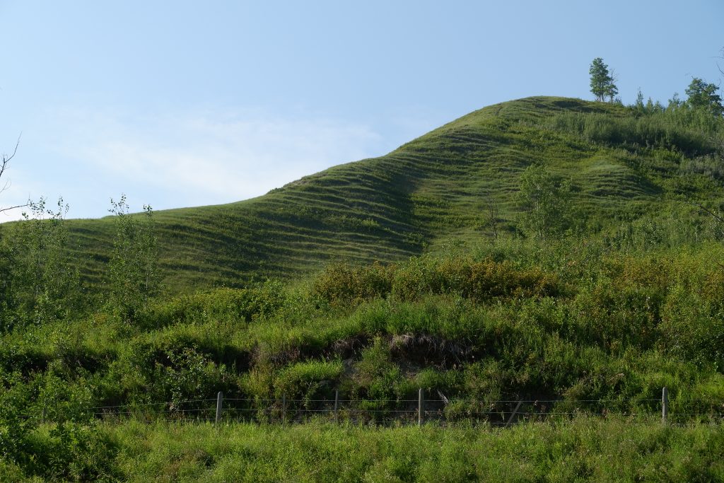 | Evidence of creep-generated terracettes on the Peace River hills in northeastern B.C. Source: Joyce McBeth (2018) CC BY 4.0.