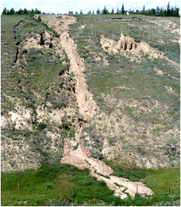 | A slump (left) and an associated mudflow (centre) at the same location as Figure \@ref(fig:figure-15-15), near Lethbridge, Alberta. _Source: Steven Earle (2015) CC BY 4.0. [View source](https://opentextbc.ca/geology/)<br>_