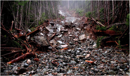 The lower part of debris flow within a steep stream channel near Buttle Lake, B.C., in November 2006. Note the trees along the edges of the stream that have been damaged by the rocks in the debris flow. _Source: Steven Earle (2015) CC BY 4.0. [View source](https://opentextbc.ca/geology/) _