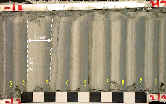 Varves in a core from Canoe Brook, Drummerston, Vermont. Each pair of light and dark layers represents one year. The top of the core is to the right. _Source: Karla Panchuk (2017) CC BY-NC-SA 4.0 (labels added). Modified after Jack Ridge/ North American Glacial Varve Project (2008) [view source](http://eos.tufts.edu/varves/votw_details.asp?vid=1). Click the image for terms of use._