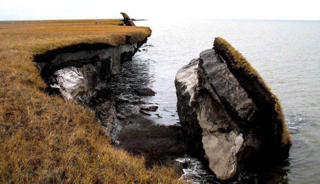 A degrading permafrost site on the north coast of Alaska. _Source: Alaska Science Center, U. S. Geological Survey (2016) Public Domain [view source](https://earthobservatory.nasa.gov/images/87794/picturing-arctic-permafrost)_