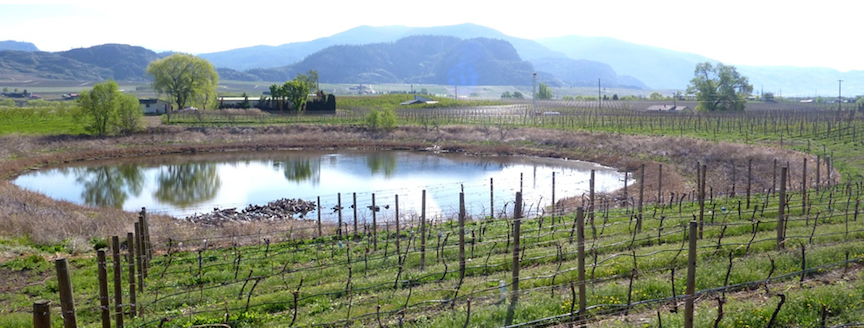 A kettle lake amid vineyards and orchards in the Osoyoos area of BC. _Source: Steven Earle (2015) CC BY 4.0_ [_view source_](https://opentextbc.ca/physicalgeologyearle/wp-content/uploads/sites/145/2016/03/kettle-2.png)